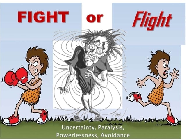 Cartoon Images Of Fight Or Flight Response Infoupdate Cartoon Images Of Fight Or Flight Response Infoupdate