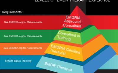 What are the Different EMDR Training Options Available?